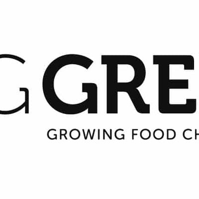 Big Green x Hairstory