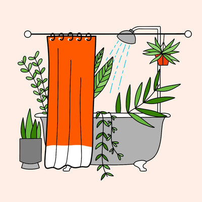 Going Green: Making Your Shower Eco-Friendly