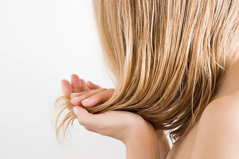 What Causes Hair Shedding: How Your Shampoo & Washing Habits Could Be The Cause