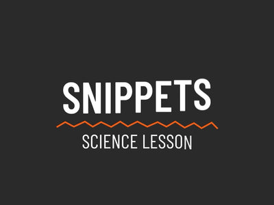 How does the Microbiome Stay Strong?