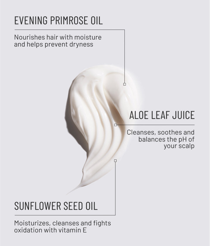 WS New Wash Original 20 oz Refill Pouch Case (6)