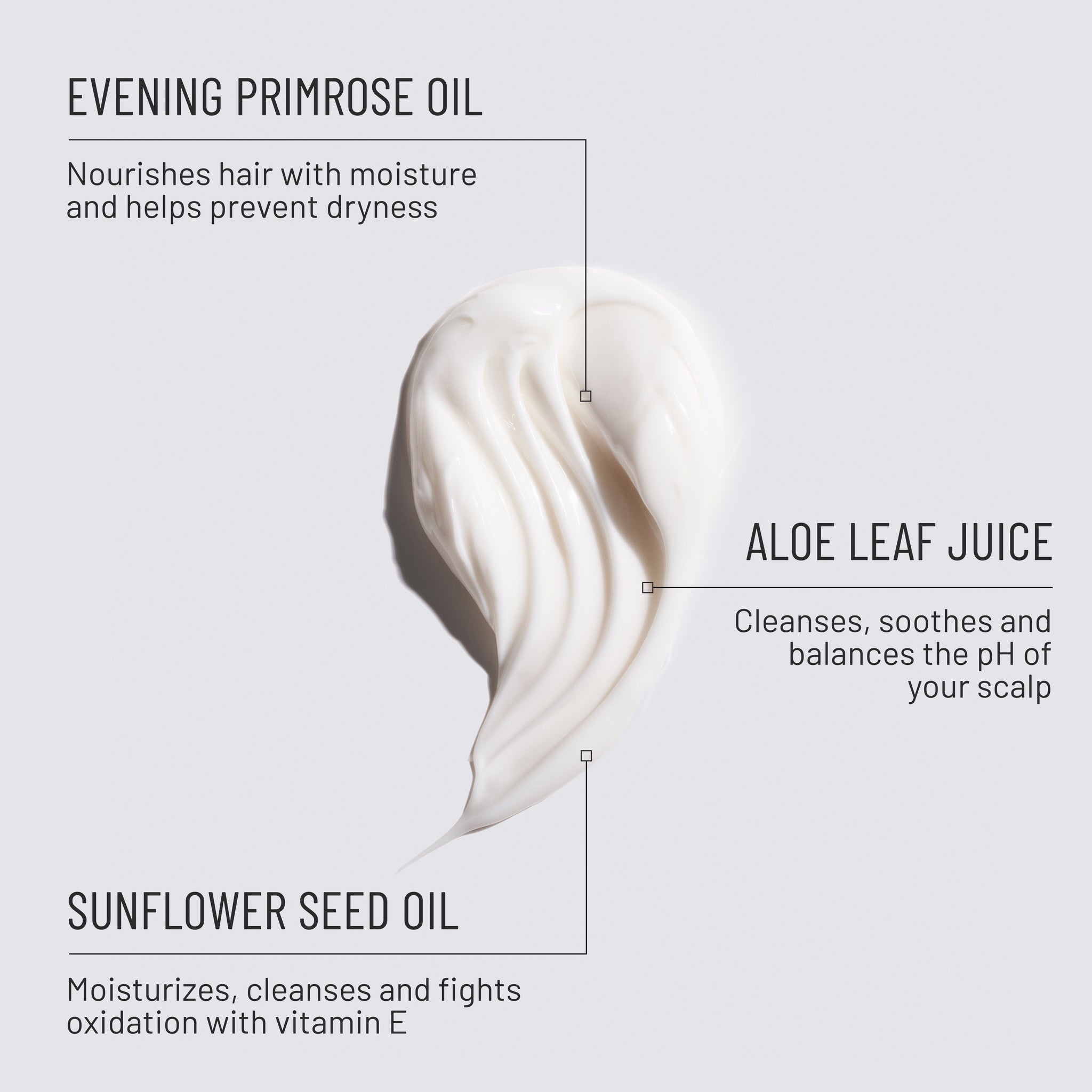 WS new wash mini 6 unit case