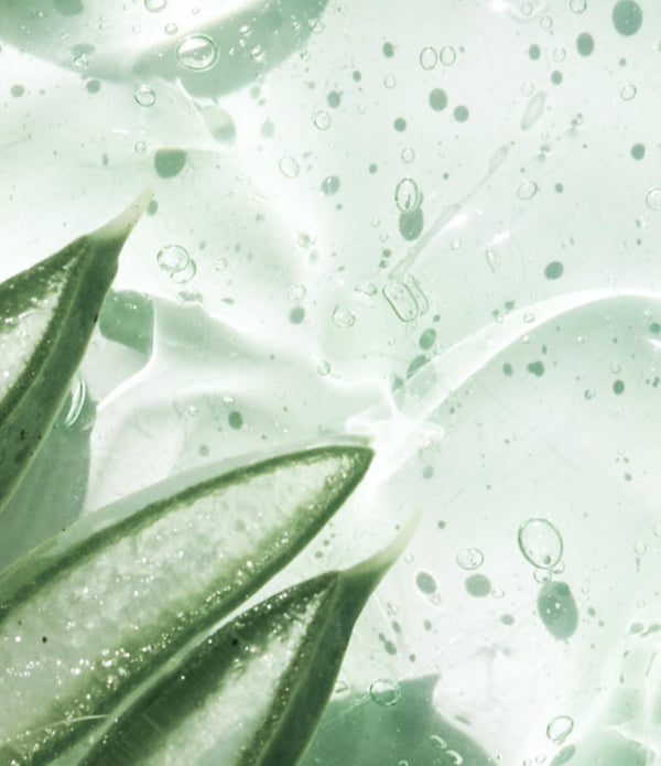 ALOE LEAF JUICE