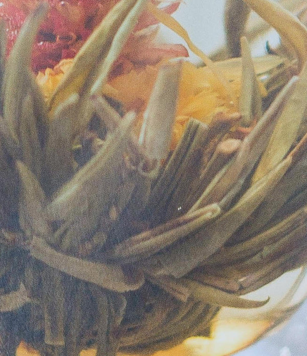 HERBAL EXTRACTS 