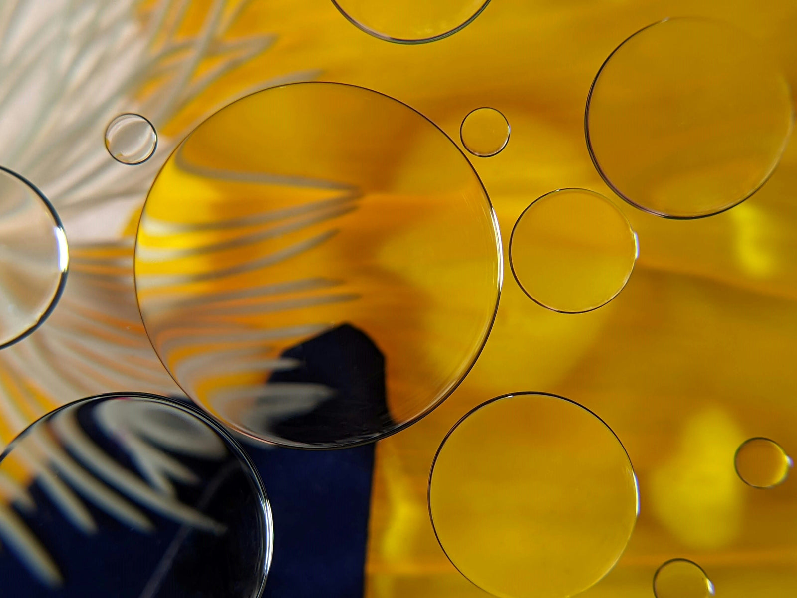 sunflower seed oil